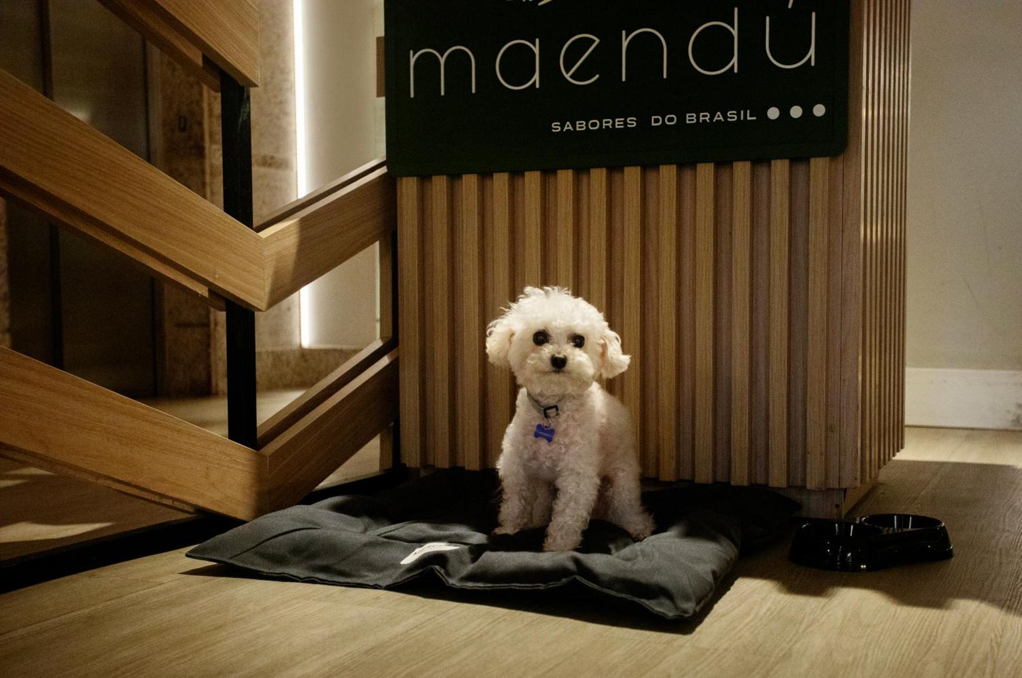 Mercure Maceio Pajucara Esterno foto